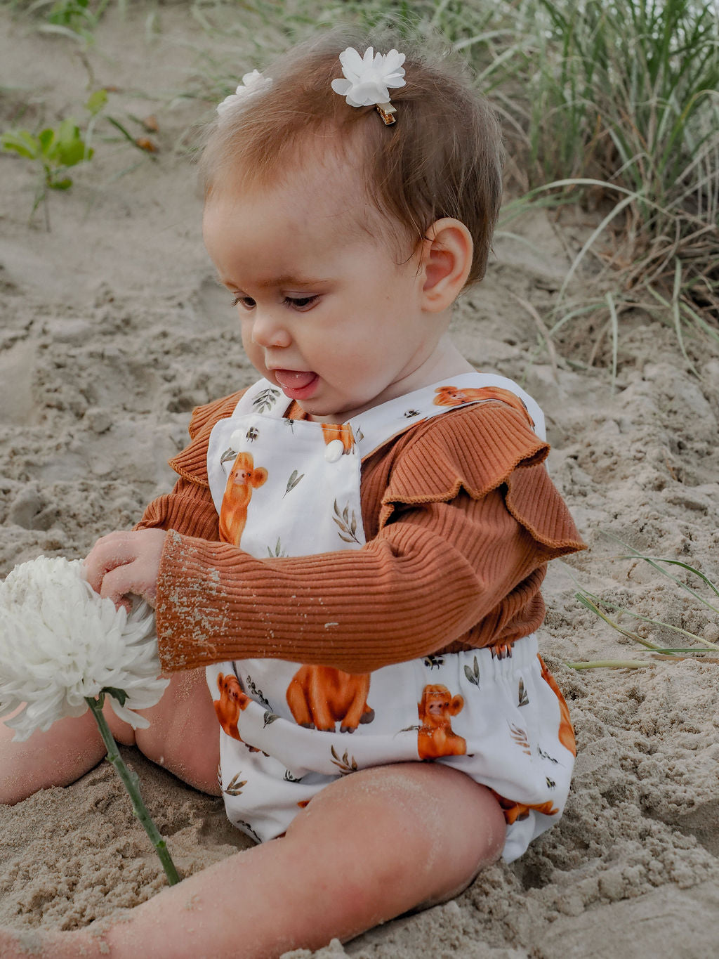 Baby Highland Cows Playsuit
